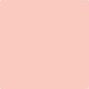 Shop 009 Blushing Brilliance by Benjamin Moore at Johnson & Maine Paint in MA, NH, and ME.