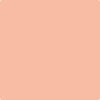 Shop 073 Amber Winds by Benjamin Moore at Johnson & Maine Paint in MA, NH, and ME.