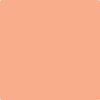 Shop 081 Intense Peach by Benjamin Moore at Johnson & Maine Paint in MA, NH, and ME.