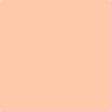 Shop 088 Summer Peach by Benjamin Moore at Johnson & Maine Paint in MA, NH, and ME.