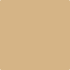 Shop 1110 Tawny Bisque by Benjamin Moore at Johnson & Maine Paint in MA, NH, and ME.