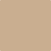 Shop 1123 Palm Desert Sand by Benjamin Moore at Johnson & Maine Paint in MA, NH, and ME.