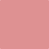 Shop 1285 Pink Buff by Benjamin Moore at Johnson & Maine Paint in MA, NH, and ME.
