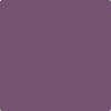 Shop 1372 Ultra Violet by Benjamin Moore at Johnson & Maine Paint in MA, NH, and ME.