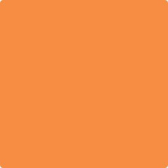 2015-10 Electric Orange - Paint Color