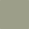 Shop 1496 Raintree Green by Benjamin Moore at Johnson & Maine Paint in MA, NH, and ME.