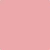 Shop 2006-50 Pink Punch by Benjamin Moore at Johnson & Maine Paint in MA, NH, and ME.