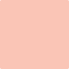 Shop 2013-50 Salmon Peach by Benjamin Moore at Johnson & Maine Paint in MA, NH, and ME.
