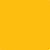 Shop 2021-10 Yellow Flash by Benjamin Moore at Johnson & Maine Paint in MA, NH, and ME.