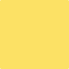 Shop 2021-40 Yellow Highlighter by Benjamin Moore at Johnson & Maine Paint in MA, NH, and ME.