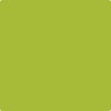 Shop 2028-30 Tequila Lime by Benjamin Moore at Johnson & Maine Paint in MA, NH, and ME.