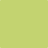 Shop 2028-40 Pear Green by Benjamin Moore at Johnson & Maine Paint in MA, NH, and ME.