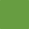Shop 2029-20 Baby Fern by Benjamin Moore at Johnson & Maine Paint in MA, NH, and ME.