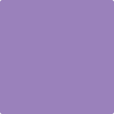 plain purple background color