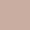Shop 2100-50 Pebble Stone by Benjamin Moore at Johnson & Maine Paint in MA, NH, and ME.