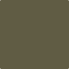 Shop 2142-10 Mediterranean Olive by Benjamin Moore at Johnson & Maine Paint in MA, NH, and ME.