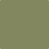 Shop 2144-20 Eucalyptus Leaf by Benjamin Moore at Johnson & Maine Paint in MA, NH, and ME.