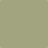 Shop 2144-30 Rosemary Sprig by Benjamin Moore at Johnson & Maine Paint in MA, NH, and ME.