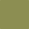 Shop 2145-20 Terrapin Green by Benjamin Moore at Johnson & Maine Paint in MA, NH, and ME.