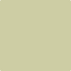 Shop 2145-40 Fernwood Green by Benjamin Moore at Johnson & Maine Paint in MA, NH, and ME.