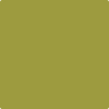 Shop 2146-20 Forest Moss by Benjamin Moore at Johnson & Maine Paint in MA, NH, and ME.