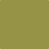 Shop 2147-20 Olive Moss by Benjamin Moore at Johnson & Maine Paint in MA, NH, and ME.