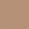 Shop 2164-40 Serengeti Sand by Benjamin Moore at Johnson & Maine Paint in MA, NH, and ME.