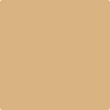 Shop 2165-40 Dark Beige by Benjamin Moore at Johnson & Maine Paint in MA, NH, and ME.