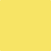 Shop 335 Delightful Yellow by Benjamin Moore at Johnson & Maine Paint in MA, NH, and ME.