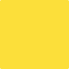 Shop 336 Bold Yellow by Benjamin Moore at Johnson & Maine Paint in MA, NH, and ME.