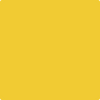 Shop 343 Sunrays by Benjamin Moore at Johnson & Maine Paint in MA, NH, and ME.