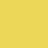 Shop 355 Majestic Yellow by Benjamin Moore at Johnson & Maine Paint in MA, NH, and ME.