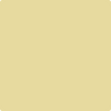 Shop 375 Yellow Clover by Benjamin Moore at Johnson & Maine Paint in MA, NH, and ME.
