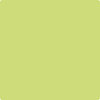 Shop 403 Candy Green by Benjamin Moore at Johnson & Maine Paint in MA, NH, and ME.