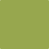 Shop 406 Huntington Green by Benjamin Moore at Johnson & Maine Paint in MA, NH, and ME.