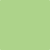 Shop 425 Lime Twist by Benjamin Moore at Johnson & Maine Paint in MA, NH, and ME.