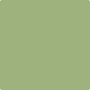 Shop 432 Grenada Green by Benjamin Moore at Johnson & Maine Paint in MA, NH, and ME.