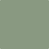 Shop 453 Adirondack Green by Benjamin Moore at Johnson & Maine Paint in MA, NH, and ME.