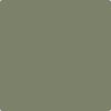 Shop 475 Galapagos Green by Benjamin Moore at Johnson & Maine Paint in MA, NH, and ME.