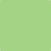 Shop 557 Leprechaun Green by Benjamin Moore at Johnson & Maine Paint in MA, NH, and ME.