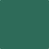 Shop 595 Deep Jungle by Benjamin Moore at Johnson & Maine Paint in MA, NH, and ME.