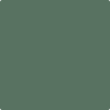 Shop 637 Gothic Green by Benjamin Moore at Johnson & Maine Paint in MA, NH, and ME.