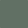Shop 700 Enchanted Forest by Benjamin Moore at Johnson & Maine Paint in MA, NH, and ME.