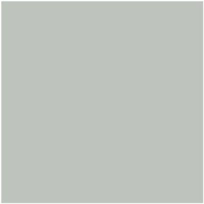 Shop AF-490 Tranquillity by Benjamin Moore at Johnson & Maine Paint in MA, NH, and ME.
