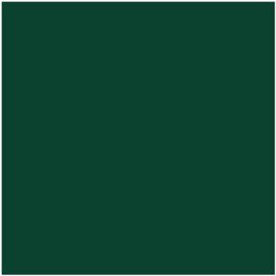 Shop HC-189 Chrome Green by Benjamin Moore at Johnson & Maine Paint in MA, NH, and ME.