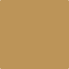 Shop AF-350 Kurkuma by Benjamin Moore at Johnson & Maine Paint in MA, NH, and ME.