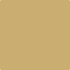 Shop AF-370 Citrine by Benjamin Moore at Johnson & Maine Paint in MA, NH, and ME.
