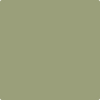 Shop AF-445 Aventurine by Benjamin Moore at Johnson & Maine Paint in MA, NH, and ME.