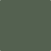 Shop AF-480 Boreal Forest by Benjamin Moore at Johnson & Maine Paint in MA, NH, and ME.
