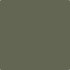 Shop CC-570 Forest Floor by Benjamin Moore at Johnson & Maine Paint in MA, NH, and ME.